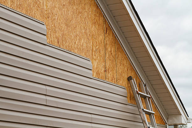 Professional Siding Repair technician working in Hines, IL